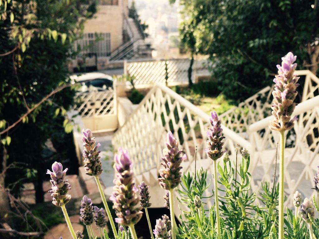 Lavender Boutique Hotel 拉马拉 外观 照片